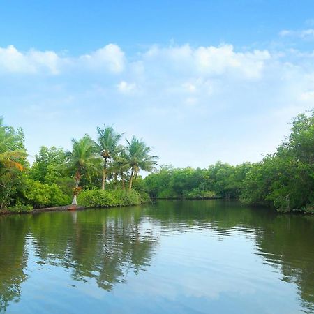 Global Lake Villa Hikkaduwa Bagian luar foto