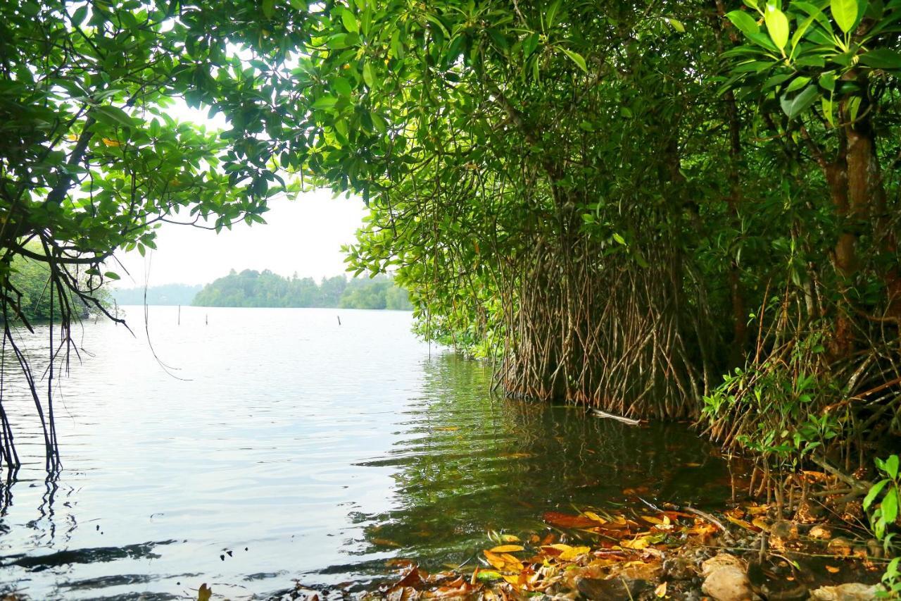 Global Lake Villa Hikkaduwa Bagian luar foto