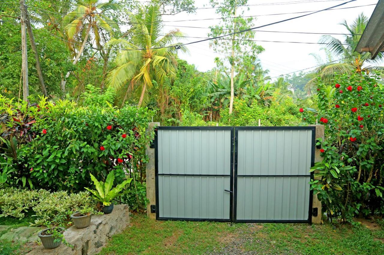 Global Lake Villa Hikkaduwa Bagian luar foto