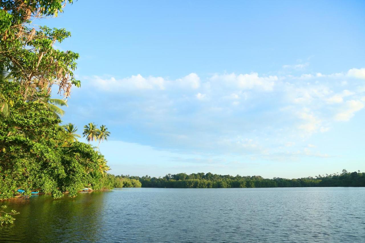 Global Lake Villa Hikkaduwa Bagian luar foto