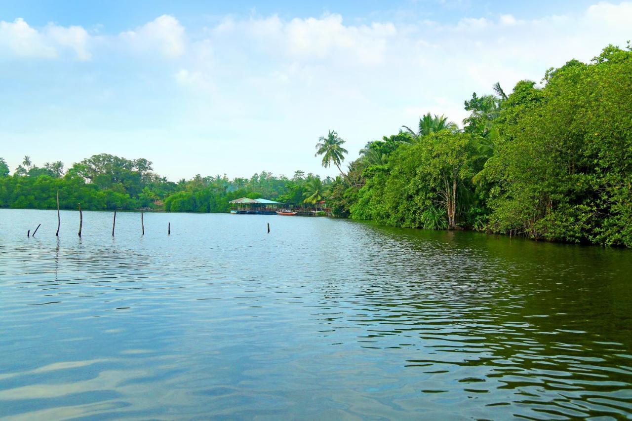 Global Lake Villa Hikkaduwa Bagian luar foto